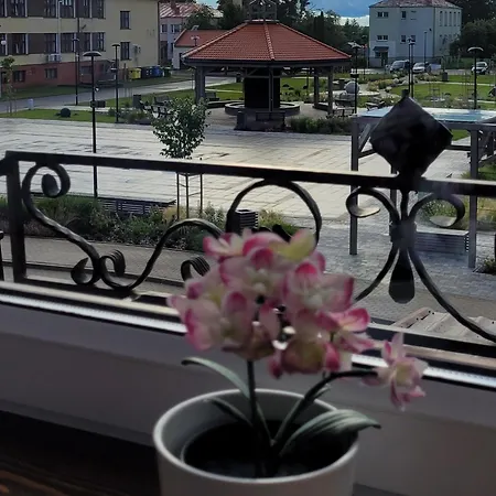 Nad Lodziarnia Appartement